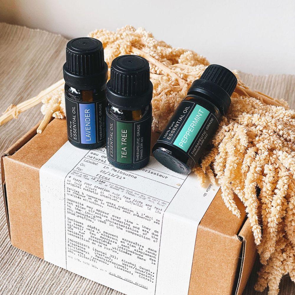 Kylin Aromatherapy Essential Oil Set Of 3 Assorted - Image 5